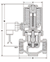 Type P Full Port Normally Closed Bronze Solenoid Valves - 2