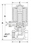 Type M Direct Acting Bronze Solenoid Valve- Normally Closed - Orifice Size 1/8 to 1/2 inch - 2